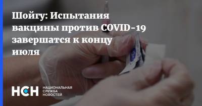 Владимир Путин - Сергей Шойгу - Шойгу: Испытания вакцины против COVID-19 завершатся к концу июля - nsn.fm - Россия