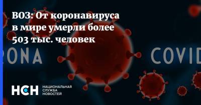 ВОЗ: От коронавируса в мире умерли более 503 тыс. человек - nsn.fm - Россия