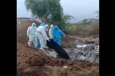 В Индии тела жертв коронавируса сбросили в яму - lenta.ru - India - штат Карнатака
