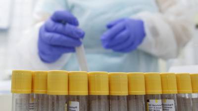 Во Флориде за сутки выявили более 15 тысяч новых случаев коронавируса - russian.rt.com - Usa - штат Флорида
