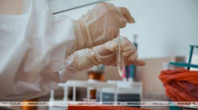 В мире за сутки выявили более 230 тыс. случаев заражения коронавирусом - belta.by - Минск