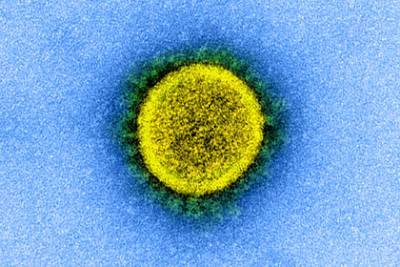 Раскрыты все опасные симптомы коронавируса - lenta.ru - Сша - Колумбия