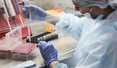 В России сделали свыше 23 млн тестов на коронавирус - newizv.ru - Россия