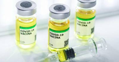 Александр Гинцбург - Стали известны сроки поступления вакцины от COVID-19 в оборот - ren.tv