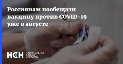 Александр Гинцбург - Россиянам пообещали вакцину против COVID-19 уже в августе - nsn.fm