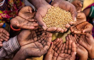 Число голодающих в мире может вырасти на 132 млн в 2020 году из-за пандемии COVID-19 - ont.by