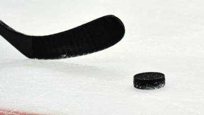 В НХЛ выявлено 30 случаев заболевания коронавирусом - russian.rt.com