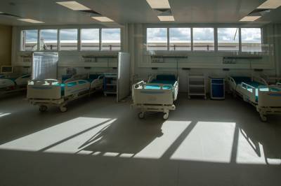Еще 29 пациентов с COVID-19 скончались в Москве - vm.ru - Москва