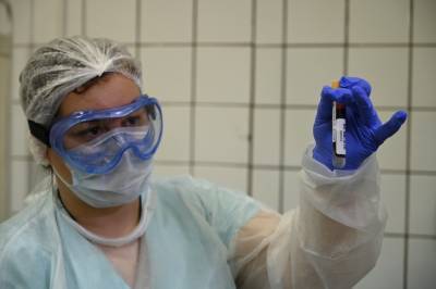 Число проведенных в России тестов на коронавирус превысило 23,7 миллиона - vm.ru - Россия
