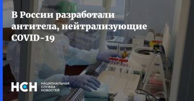Ольга Дорохова - В России разработали антитела, нейтрализующие COVID-19 - nsn.fm - Россия - Новосибирск