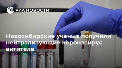 Ольга Дорохова - Новосибирские ученые получили нейтрализующие коронавирус антитела - ria.ru - Россия - Новосибирск