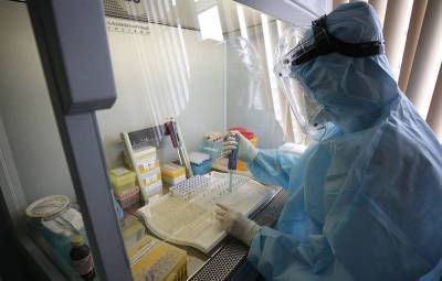 Ученые из Новосибирска первыми обнаружили действующие антитела, которые блокируют коронавирус - bloknot.ru - Россия - Новосибирск