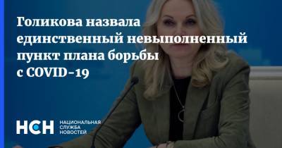 Татьяна Голикова - Голикова назвала единственный невыполненный пункт плана борьбы с COVID-19 - nsn.fm - Россия