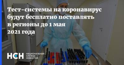 Михаил Мишустин - Тест-системы на коронавирус будут бесплатно поставлять в регионы до 1 мая 2021 года - nsn.fm - Россия