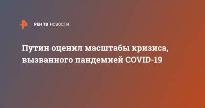 Владимир Путин - Путин оценил масштабы кризиса, вызванного пандемией COVID-19 - ren.tv - Россия