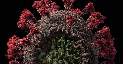 Ученые выяснили, помогает ли лучевая терапия при коронавирусе - ren.tv - Сша