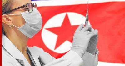 В КНДР заявили о создании «одноразовой» вакцины от коронавируса - profile.ru - Кндр