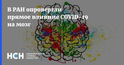 Симон Мацкеплишвили - В РАН опровергли прямое влияние COVID-19 на мозг - nsn.fm - Россия