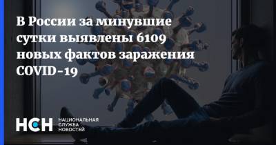 В России за минувшие сутки выявлены 6109 новых фактов заражения COVID-19 - nsn.fm - Россия