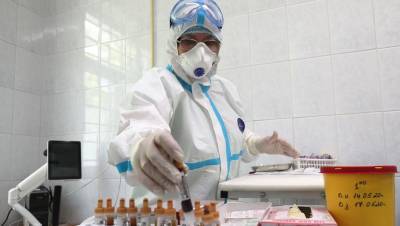 На закупку тестов на антитела к COVID-19 в Петербурге выделят 11 млн рублей - dp.ru - Санкт-Петербург