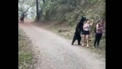 Видео, на котором туристка делает селфи с подобравшимся вплотную медведем, стало вирусным - usa.one - Мексика
