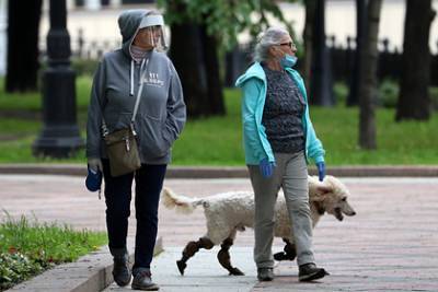 Владимир Голубев - Собаки оказались способны диагностировать коронавирус по запаху - lenta.ru - Россия - Москва