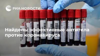 Найдены эффективные антитела против коронавируса - ria.ru - Москва - Сша - Нью-Йорк - Колумбия
