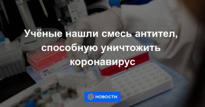 Учёные нашли смесь антител, способную уничтожить коронавирус - news.mail.ru - Нью-Йорк - Колумбия