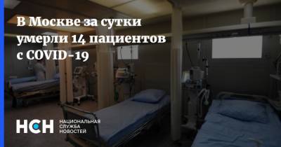 В Москве за сутки умерли 14 пациентов с COVID-19 - nsn.fm - Москва