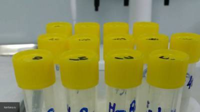 Американские ученые создали смесь антител для эффективной борьбы с коронавирусом - nation-news.ru - Нью-Йорк - Колумбия