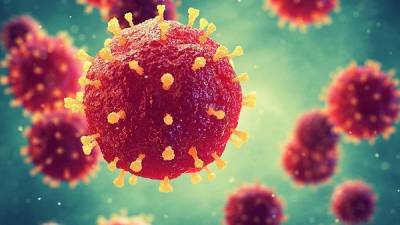 Группа ученых создала смесь антител против коронавируса - eadaily.com