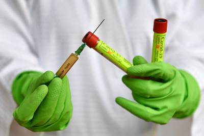 Майкл Райан - В ВОЗ назвали сроки получения вакцины от коронавируса - lenta.ru