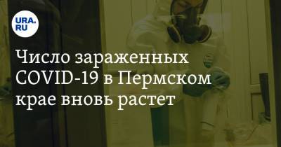 Число зараженных COVID-19 в Пермском крае вновь растет - ura.news - Пермский край