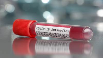 Найдены наиболее устойчивые к коронавирусу антитела - gazeta.ru - Нью-Йорк - Колумбия