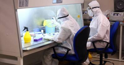 В США создали детектор для мгновенного выявления коронавируса - ren.tv - Сша - Вашингтон - Колумбия