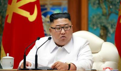 Ким Ченын - В Северной Корее сообщили о первом случае подозрения на коронавирус - newizv.ru - Южная Корея - Корея - Кндр