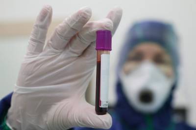 Более 27,1 миллиона тестов на коронавирус провели в России - vm.ru - Россия