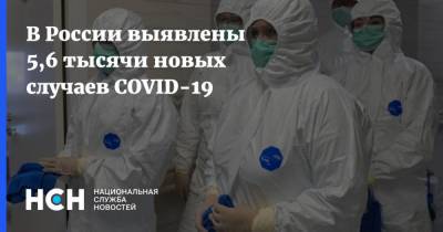В России выявлены 5,6 тысячи новых случаев COVID-19 - nsn.fm - Россия - Санкт-Петербург - Москва - округ Югра