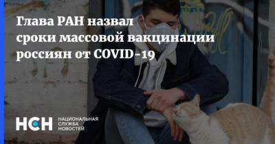 Александр Сергеев - Глава РАН назвал сроки массовой вакцинации россиян от COVID-19 - nsn.fm - Россия