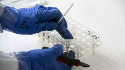 Йенс Шпан - В ФРГ введут обязательные тесты на коронавирус при въезде в страну - russian.rt.com - Германия