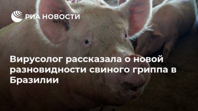 Вирусолог рассказала о новой разновидности свиного гриппа в Бразилии - ria.ru - Москва - Бразилия