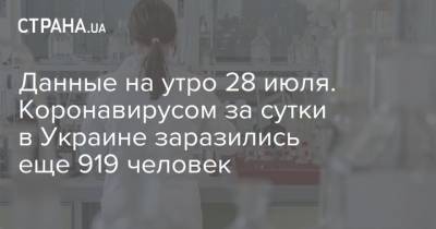 Данные на утро 28 июля. Коронавирусом за сутки в Украине заразились еще 919 человек - strana.ua - Украина