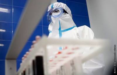 В России коронавирус за сутки нашли у 5 395 человек - interfax.ru - Россия - Москва