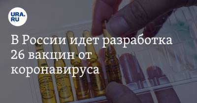 Анна Попова - В России идет разработка 26 вакцин от коронавируса - ura.news - Россия