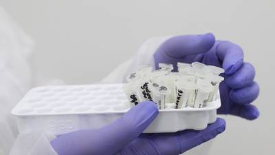 Более 27,5 млн тестов на коронавирус проведено в России - russian.rt.com - Россия