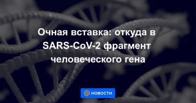 Очная вставка: откуда в SARS-CoV-2 фрагмент человеческого гена - news.mail.ru