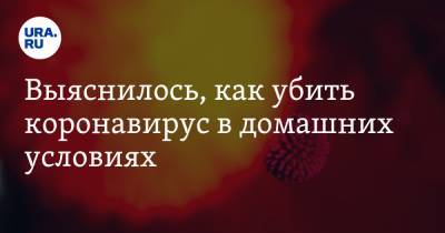Анна Попова - Выяснилось, как убить коронавирус в домашних условиях - ura.news