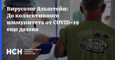 Николай Брико - Вирусолог Альштейн: До коллективного иммунитета от COVID-19 еще далеко - nsn.fm