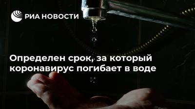 Определен срок, за который коронавирус погибает в воде - ria.ru - Россия - Москва