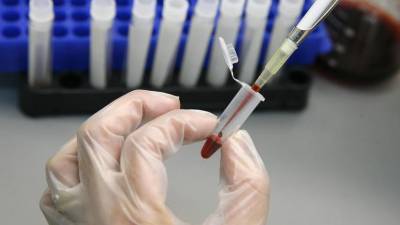 В Петербурге за сутки более 15 тысяч человек сдали тест на коронавирус - russian.rt.com - Санкт-Петербург